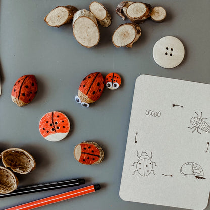 Wildebras | Flashcards | Levensloop | Set | Bij - Zonnebloem - Paardenbloem - Lieveheersbeestje