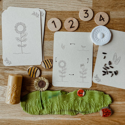 Wildebras | Flashcards | Levensloop | Set | Bij - Zonnebloem - Paardenbloem - Lieveheersbeestje