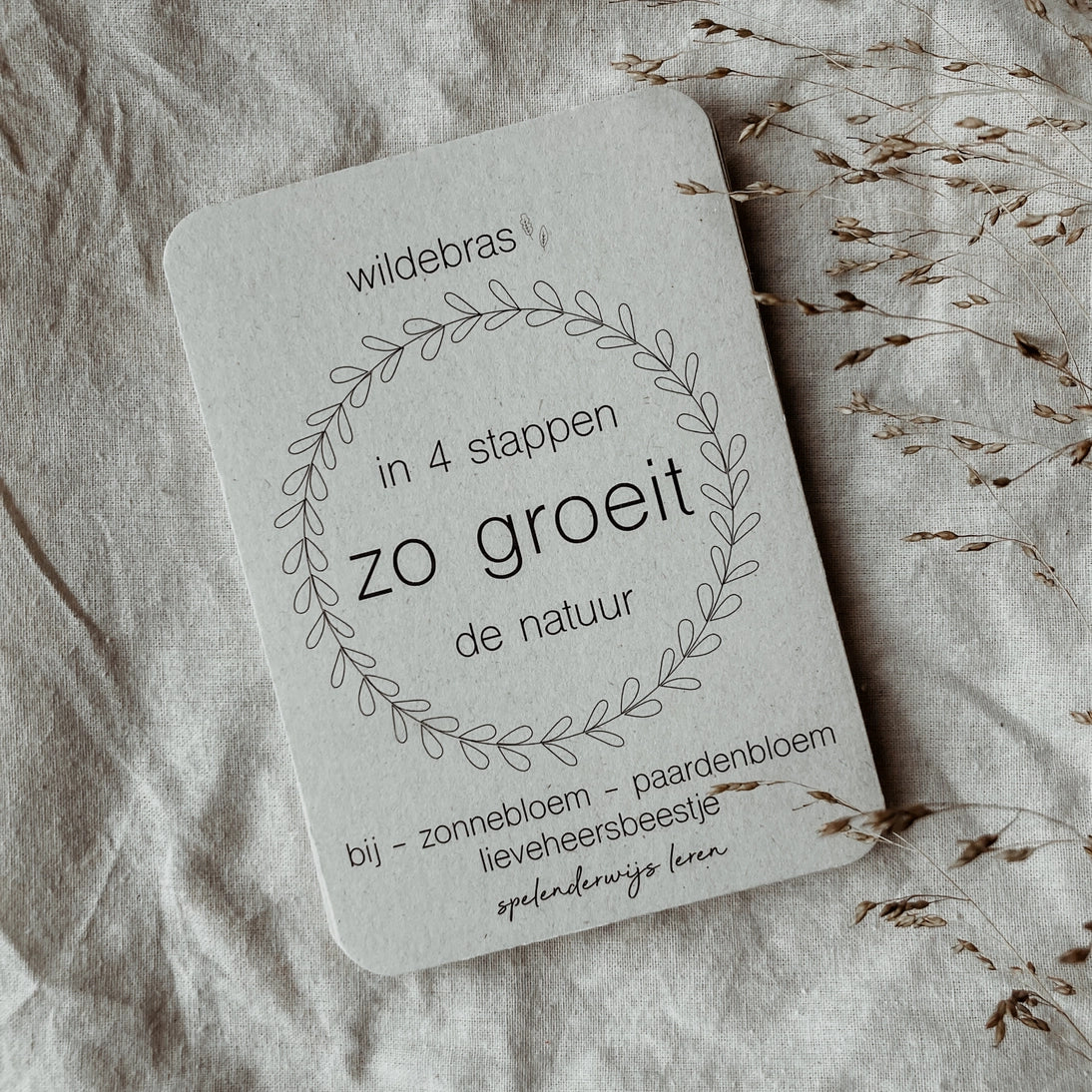 Wildebras | Flashcards | Levensloop | Set | Bij - Zonnebloem - Paardenbloem - Lieveheersbeestje