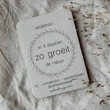 Wildebras | Flashcards | Levensloop | Set | Bij - Zonnebloem - Paardenbloem - Lieveheersbeestje