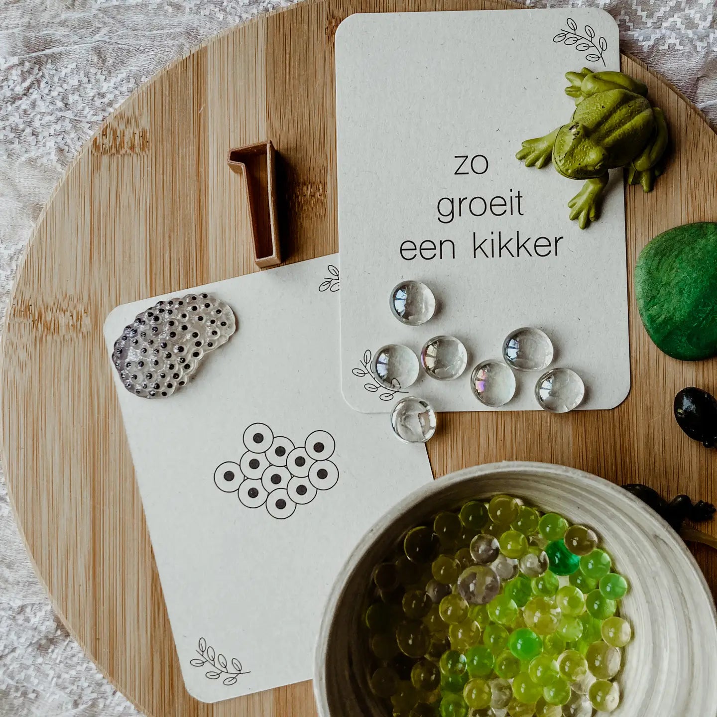 Wildebras | Flashcards | Levensloop | Kikker