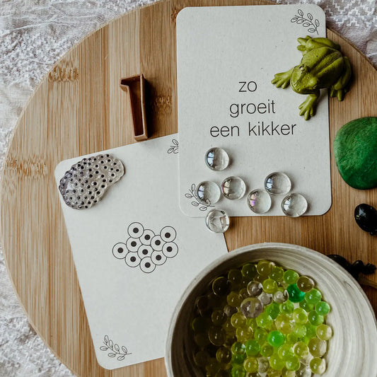 Wildebras | Flashcards | Levensloop | Kikker