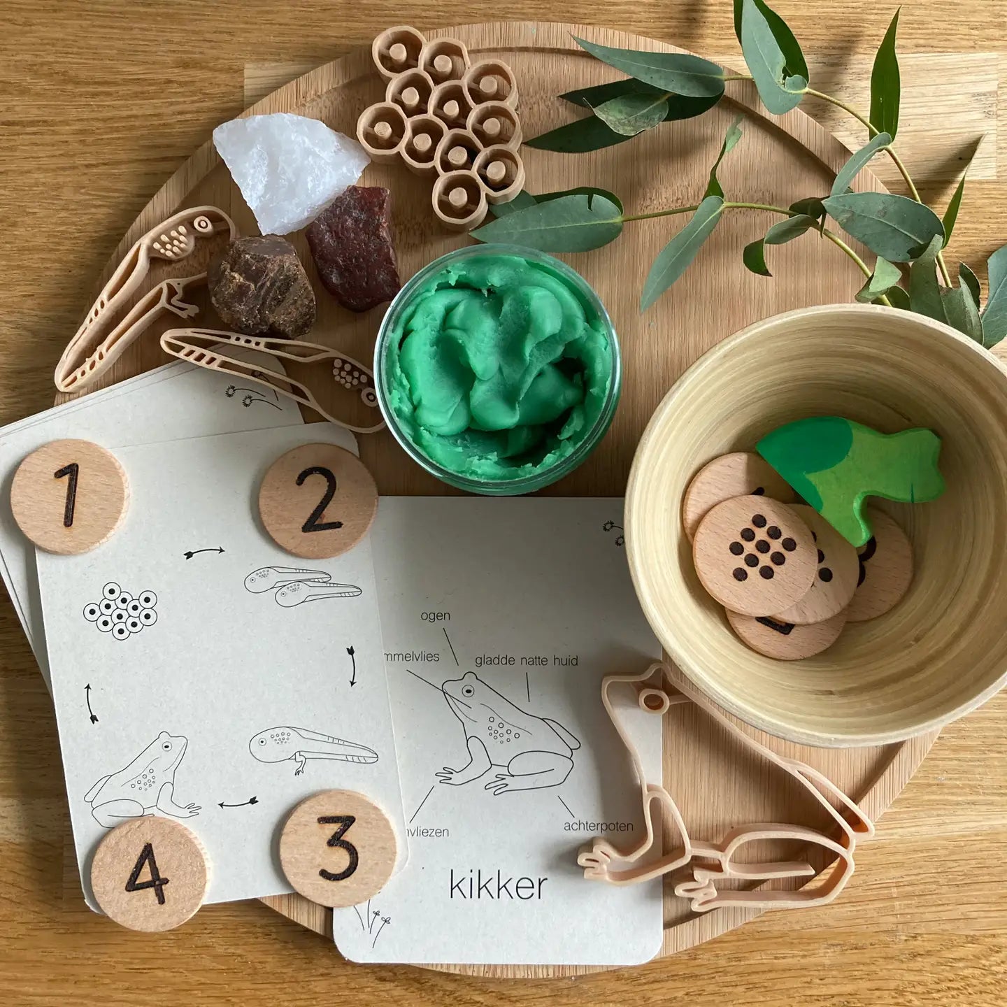 Wildebras | Flashcards | Levensloop | Kikker