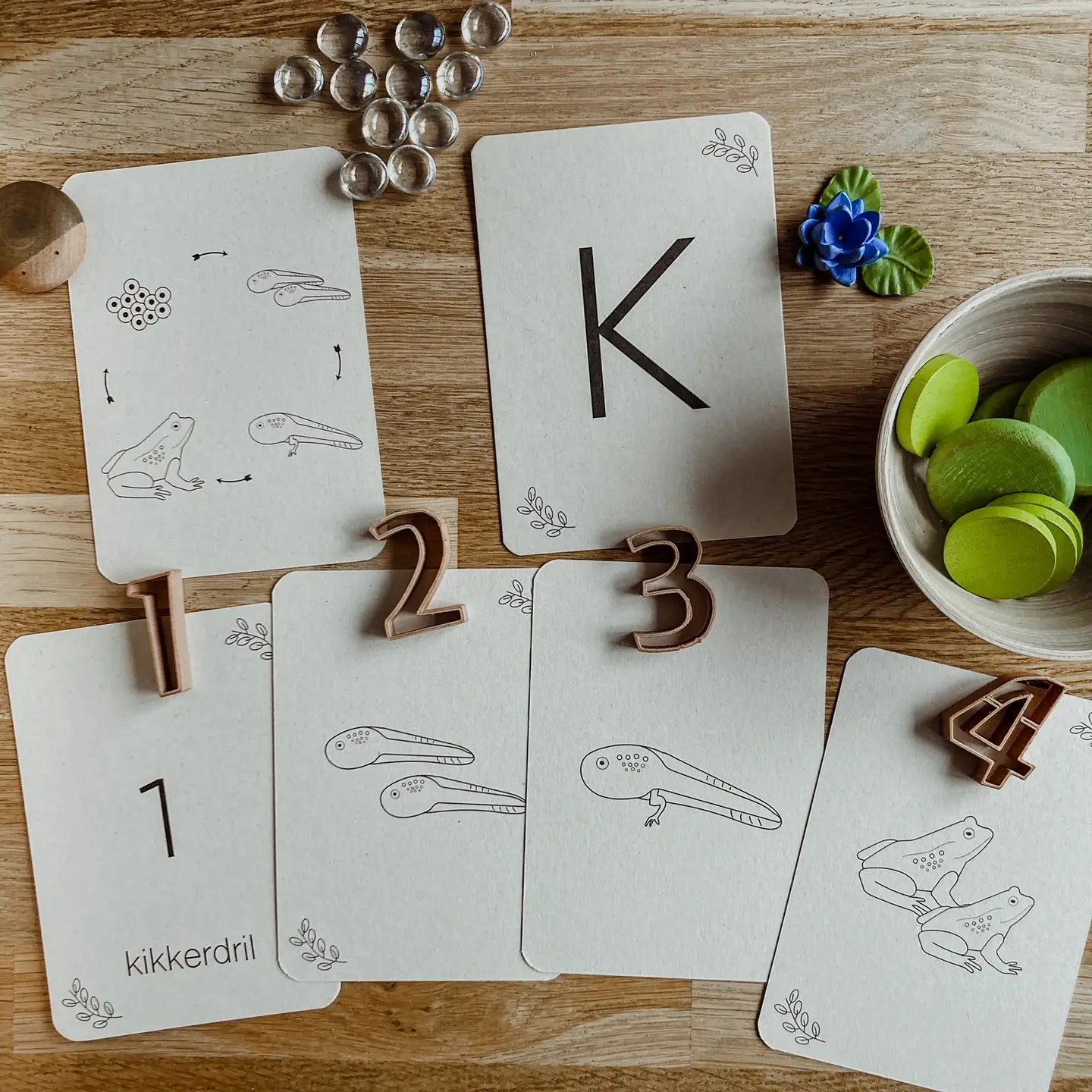 Wildebras | Flashcards | Levensloop | Kikker