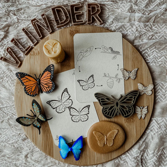 Wildebras | Flashcards | Levensloop | Set | Kip - Kikker - Vlinder - Narcis