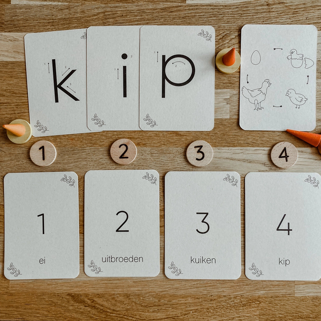 Wildebras | Flashcards | Levensloop | Set | Kip - Kikker - Vlinder - Narcis