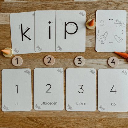 Wildebras | Flashcards | Levensloop | Set | Kip - Kikker - Vlinder - Narcis