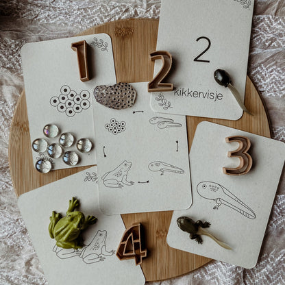Wildebras | Flashcards | Levensloop | Set | Kip - Kikker - Vlinder - Narcis