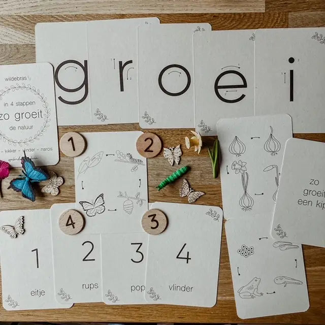Wildebras | Flashcards | Levensloop | Set | Kip - Kikker - Vlinder - Narcis