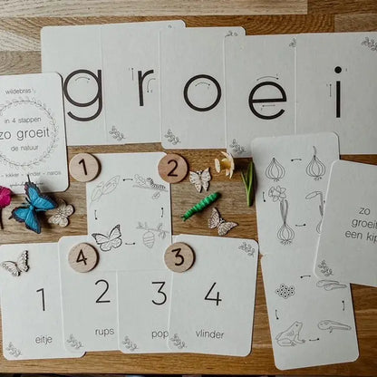 Wildebras | Flashcards | Levensloop | Set | Kip - Kikker - Vlinder - Narcis