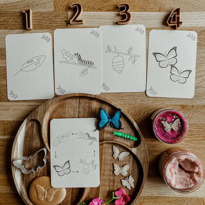 Wildebras | Flashcards | Levensloop | Set | Kip - Kikker - Vlinder - Narcis