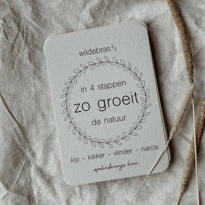 Wildebras | Flashcards | Levensloop | Set | Kip - Kikker - Vlinder - Narcis
