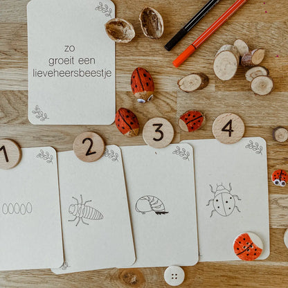 Wildebras | Flashcards | Levensloop | Lieveheersbeestje