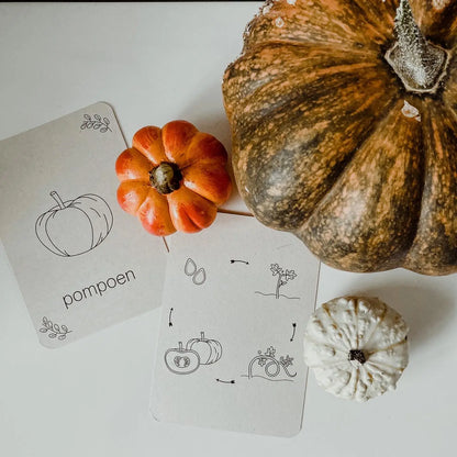 Wildebras | Flashcards | Levensloop | Set | Pompoen - Kastanje - Eikel - Paddestoel