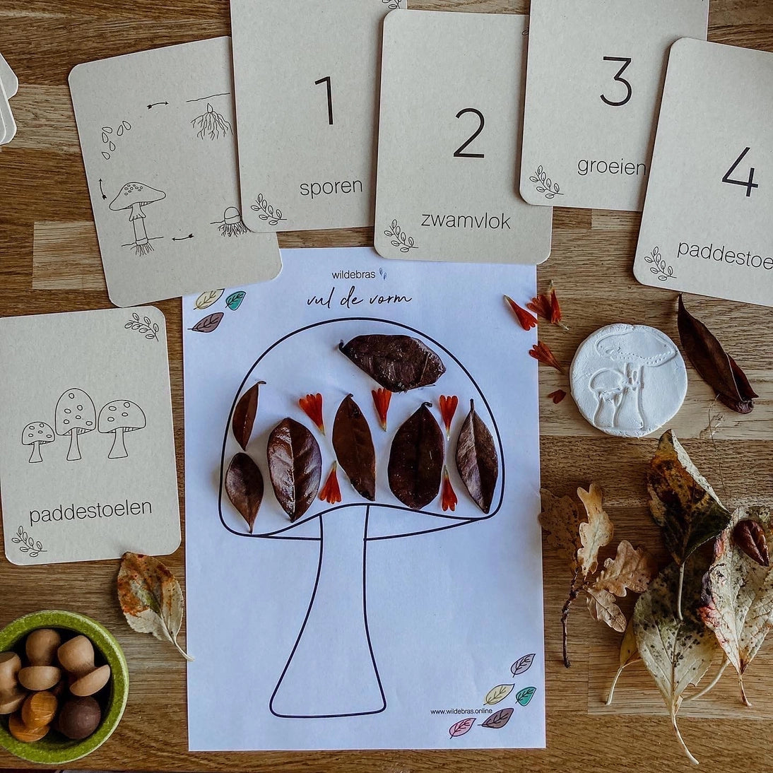 Wildebras | Flashcards | Levensloop | Set | Pompoen - Kastanje - Eikel - Paddestoel
