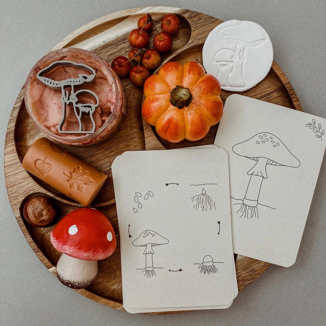 Wildebras | Flashcards | Levensloop | Set | Pompoen - Kastanje - Eikel - Paddestoel
