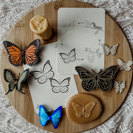 Wildebras | Flashcards | Levensloop | Vlinder