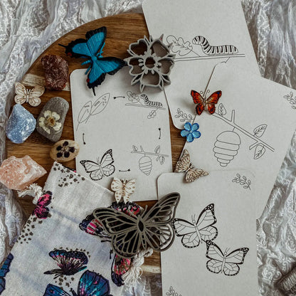 Wildebras | Flashcards | Levensloop | Vlinder