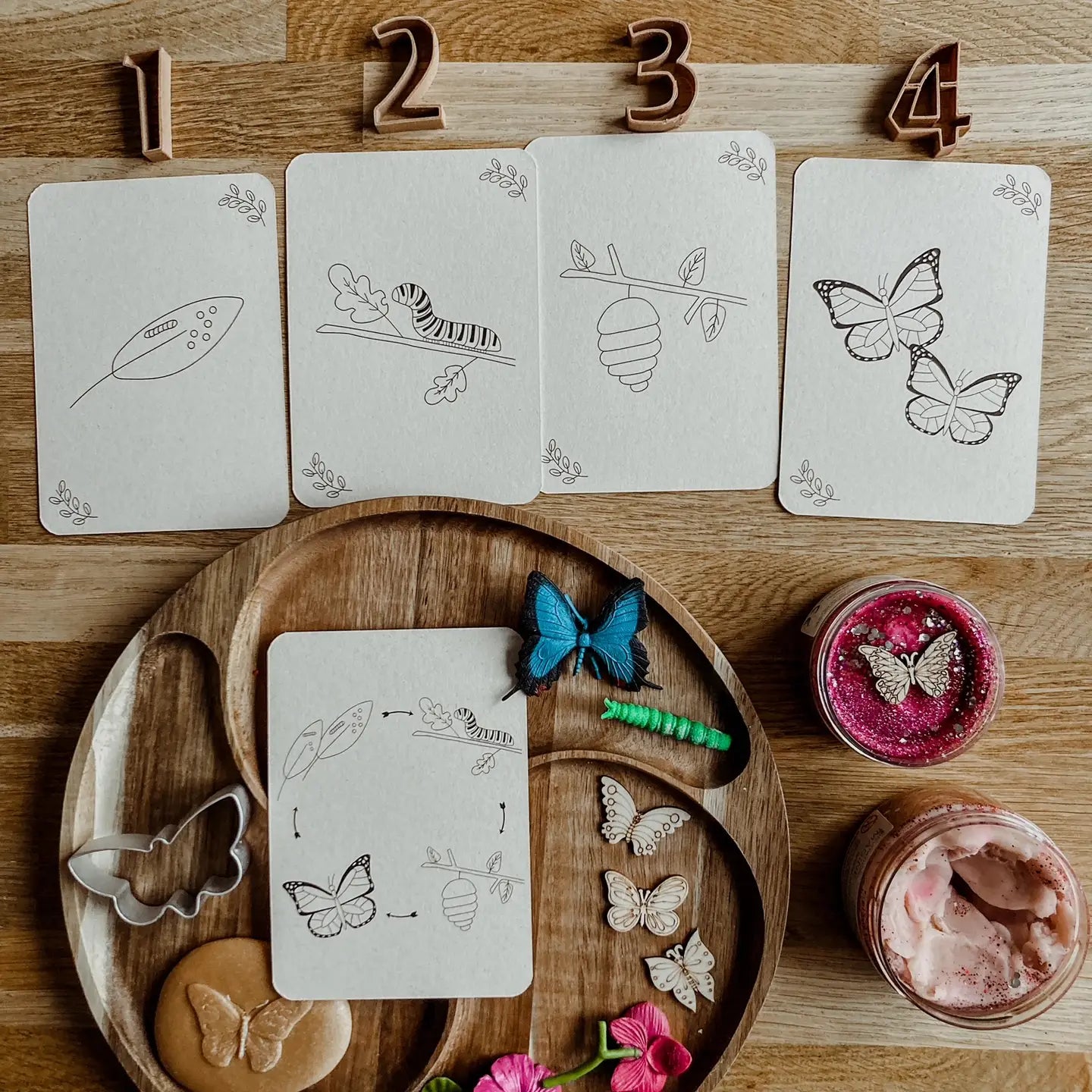 Wildebras | Flashcards | Levensloop | Vlinder
