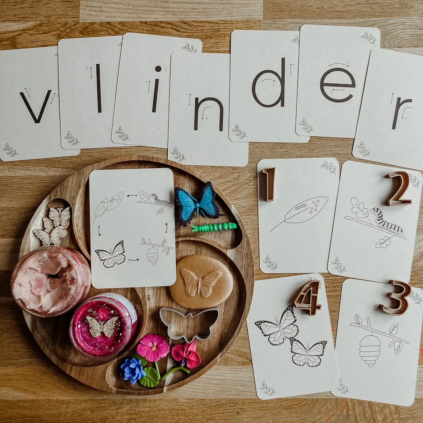 Wildebras | Flashcards | Levensloop | Vlinder