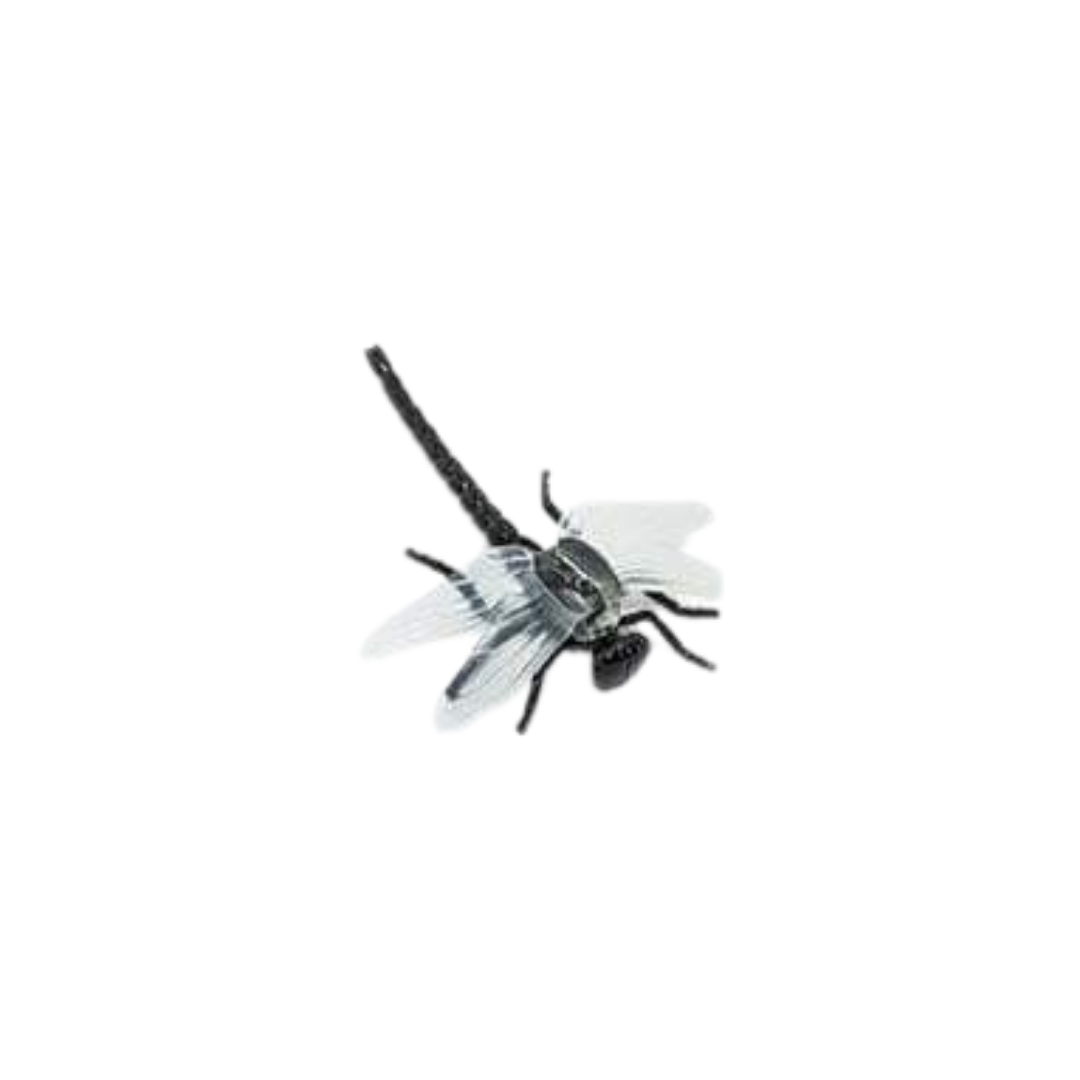 Losse insecten | Safari LTD