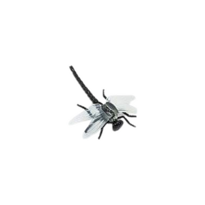 Losse insecten | Safari LTD