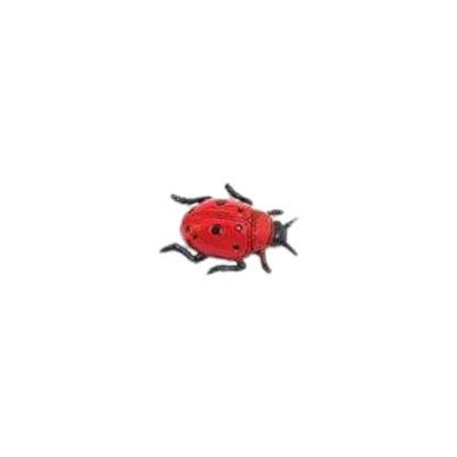 Losse insecten | Safari LTD