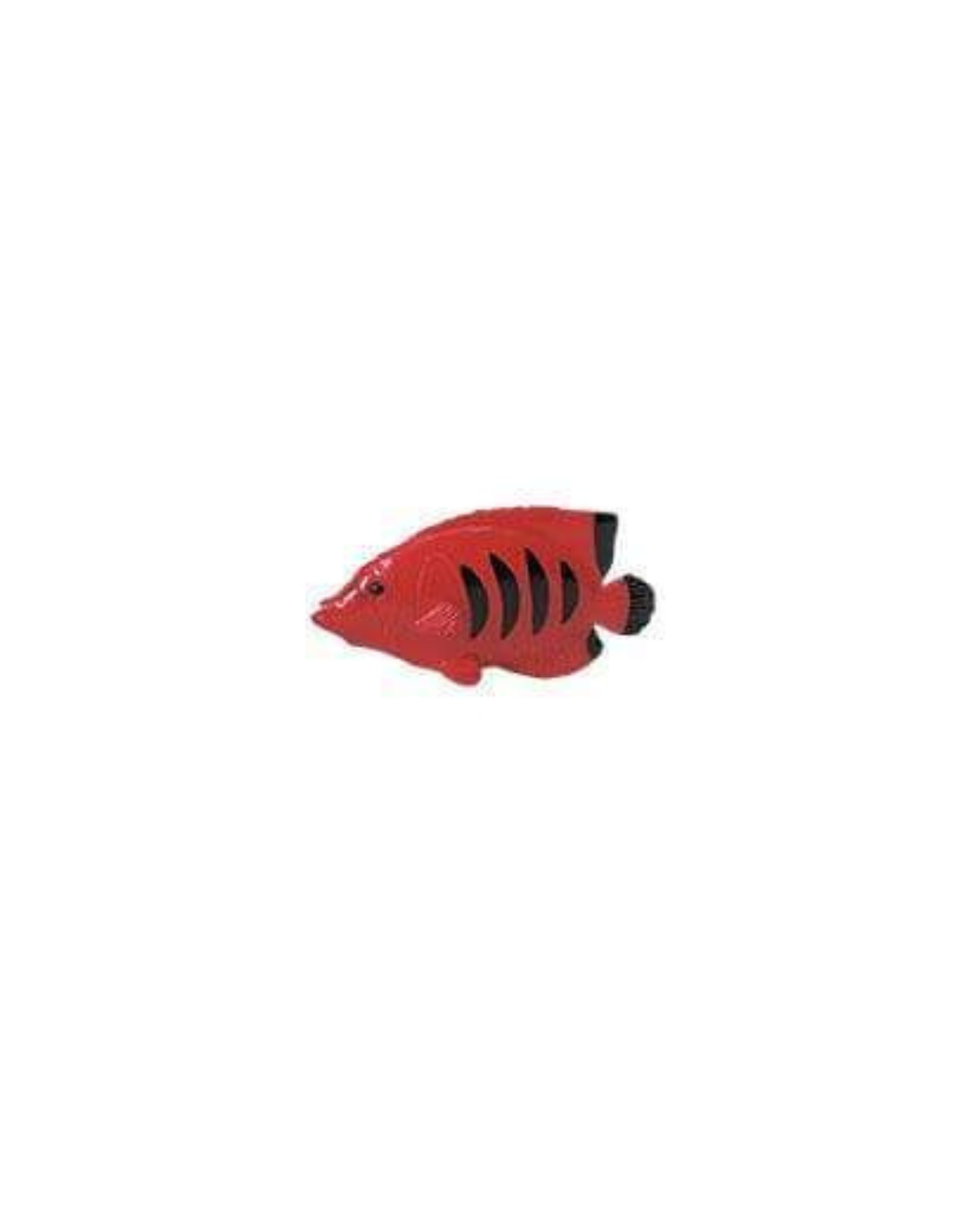 Losse koraalrif dieren | Safari LTD