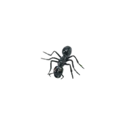 Losse insecten | Safari LTD