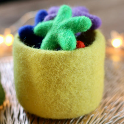 Mkiddiezz | Viltset | Kerst