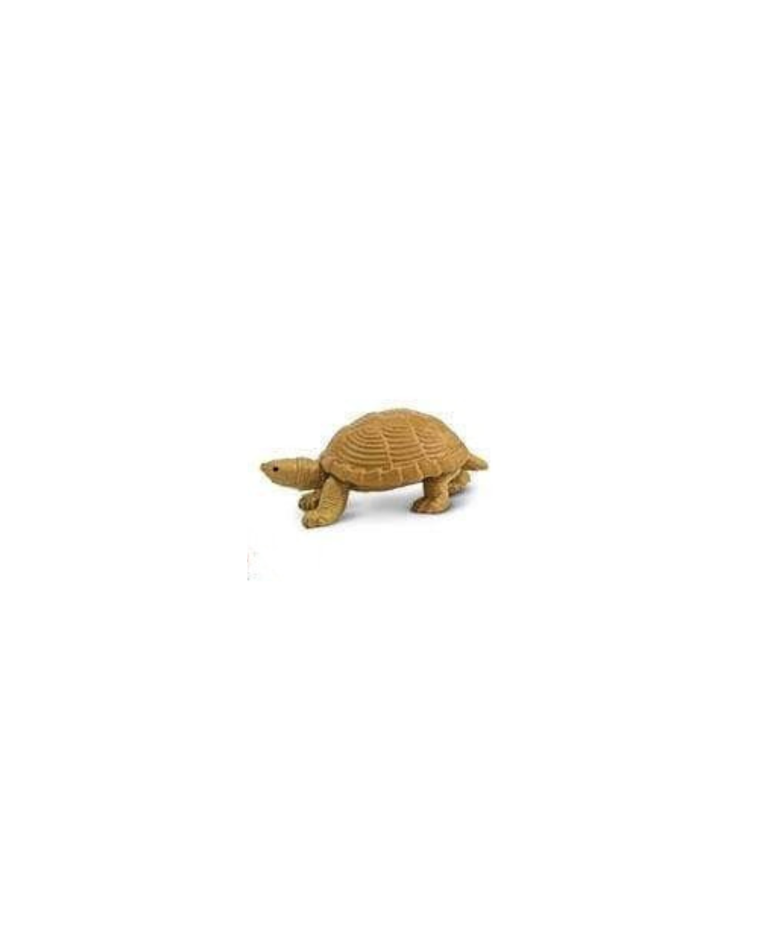 Losse kikkers & schildpadden | Safari LTD