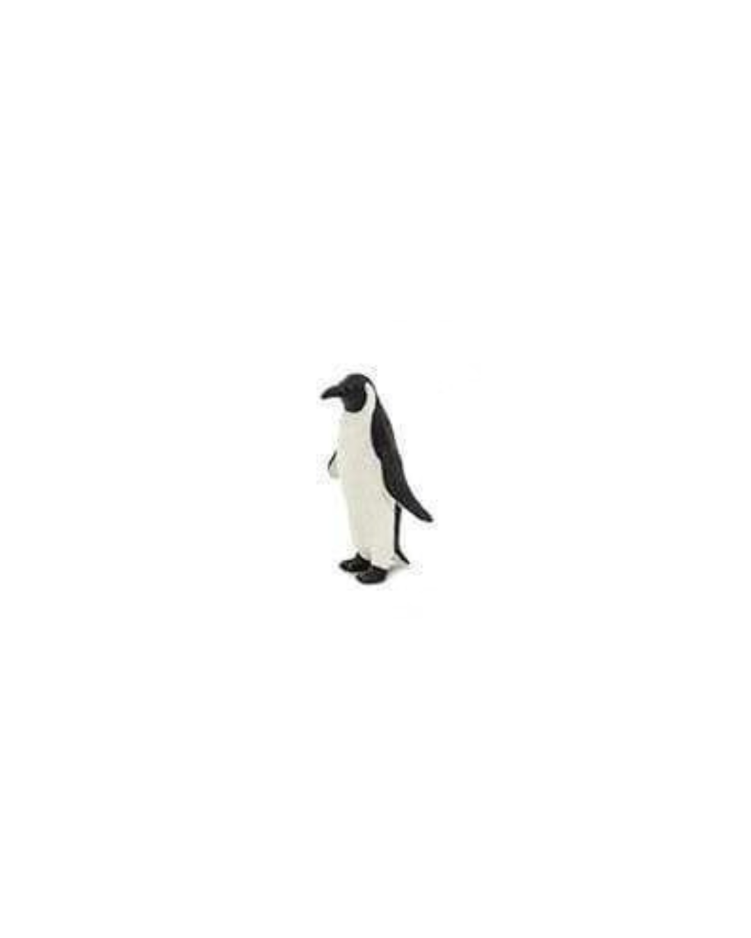 Losse zeedieren | Safari LTD