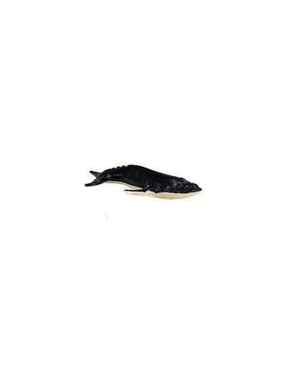 Losse zeedieren | Safari LTD