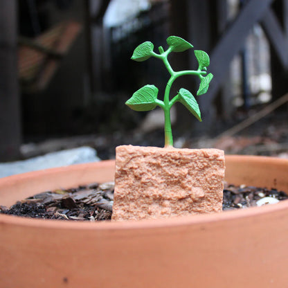 Safari LTD® | Levensloop | Groene Bonen Plant