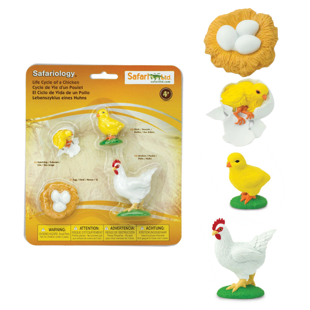 Safari LTD® | Levensloop | Kip