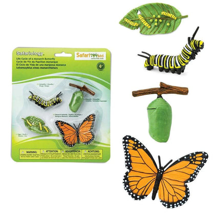 Safari LTD® | Levensloop | Monarch Vlinder