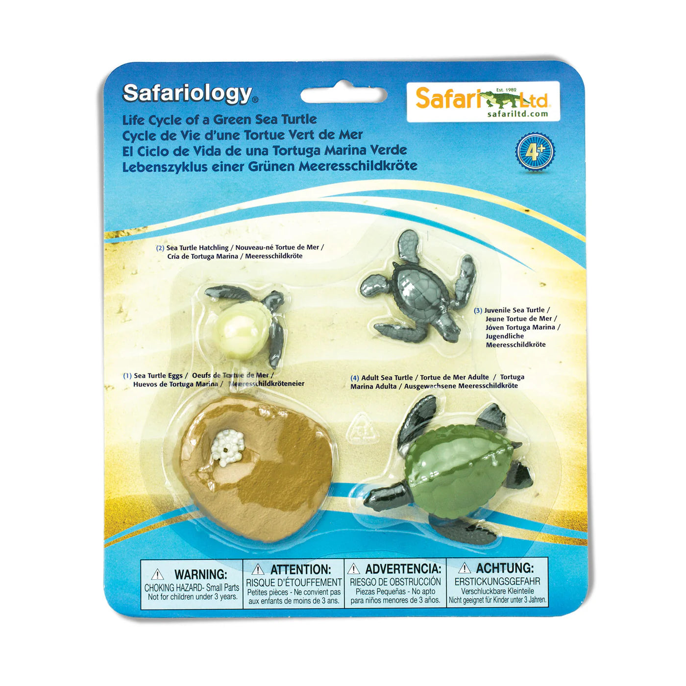 Safari LTD® | Levensloop | Groene Zeeschildpad