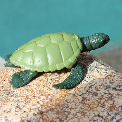 Safari LTD® | Levensloop | Groene Zeeschildpad