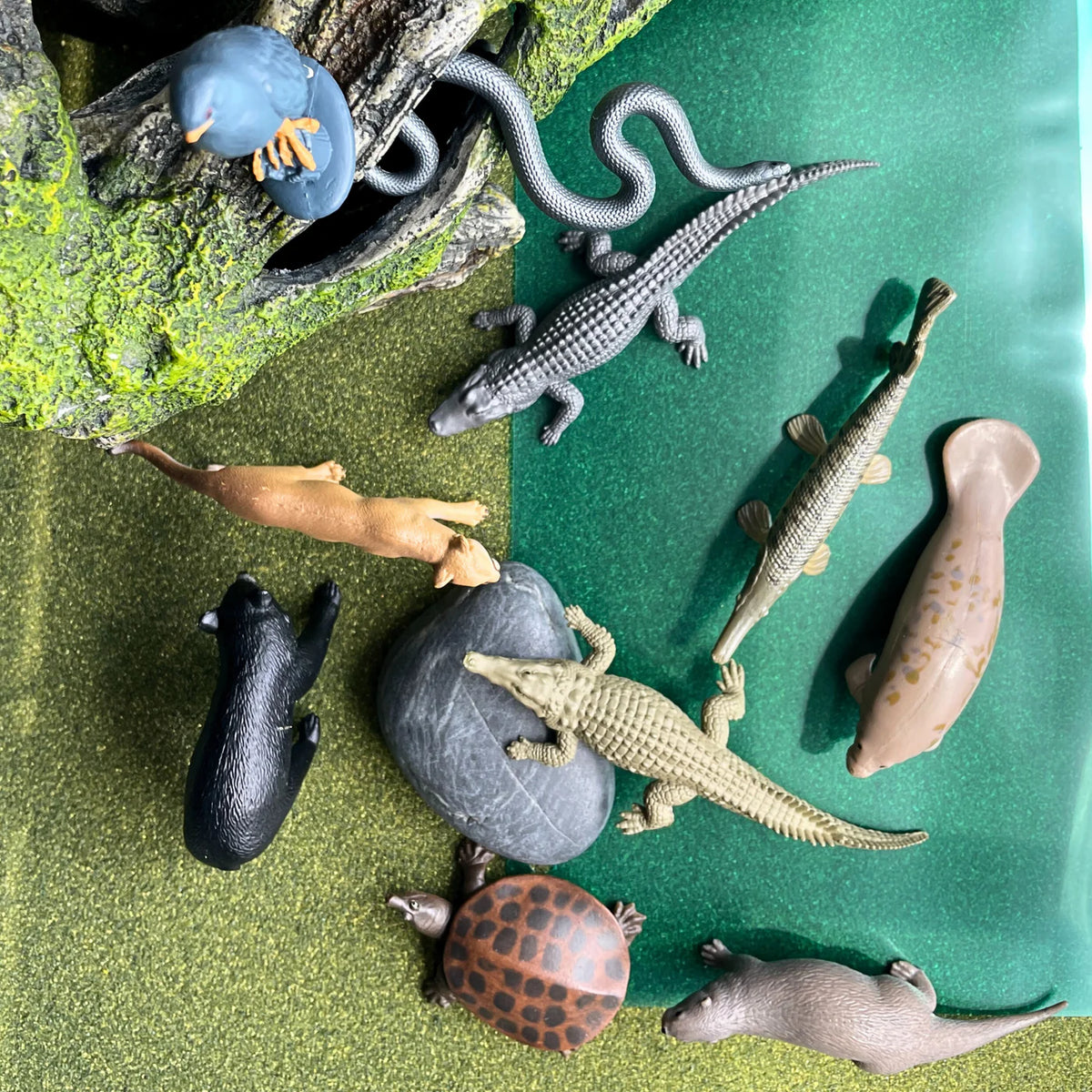 Safari LTD® | Toob | Everglades