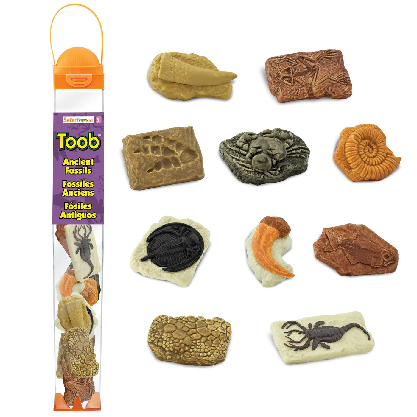 Safari LTD® | Toob | Fossielen