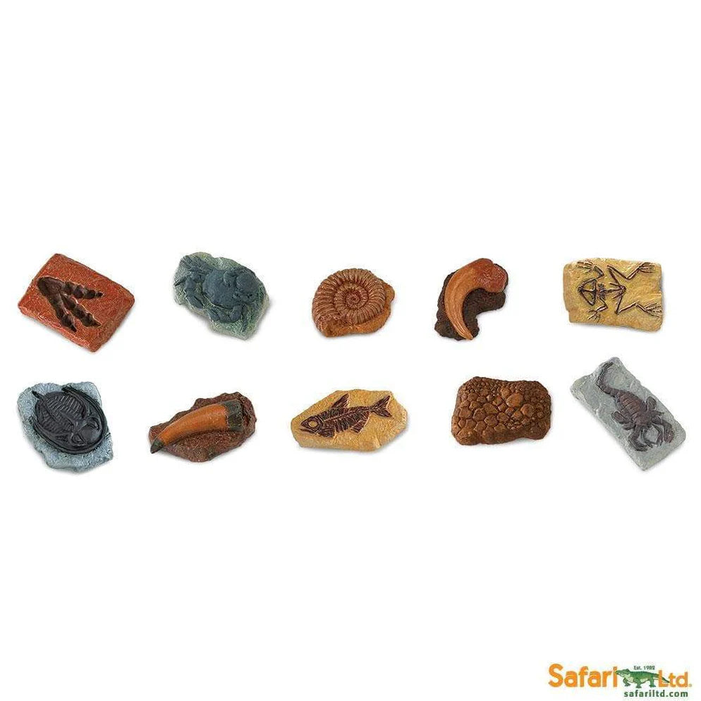 Safari LTD® | Toob | Fossielen