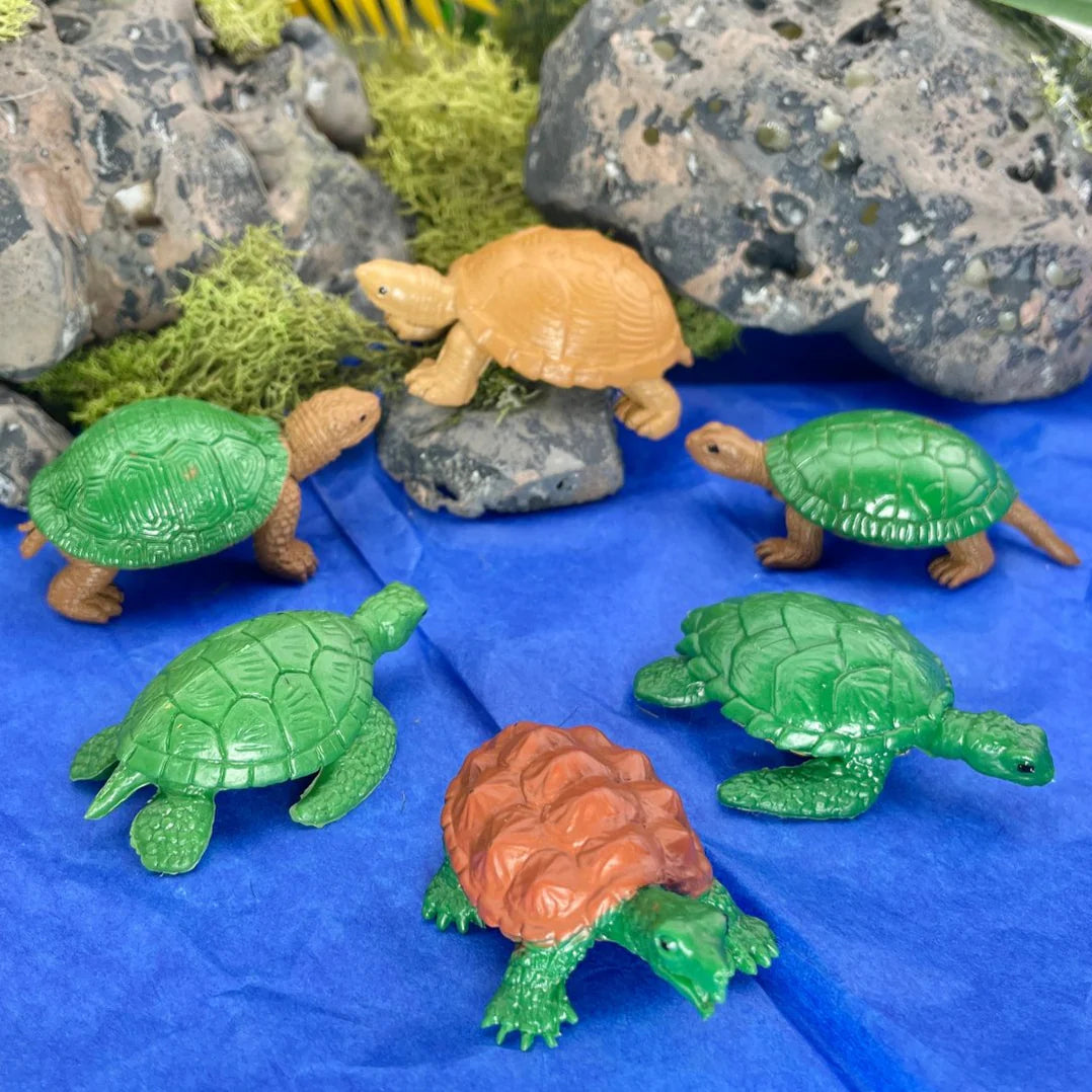 Safari LTD® | Toob | Kikkers & Schildpadden