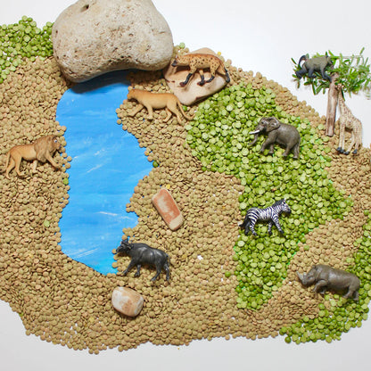 Safari LTD® | Toob | Zuid-Afrika Dieren