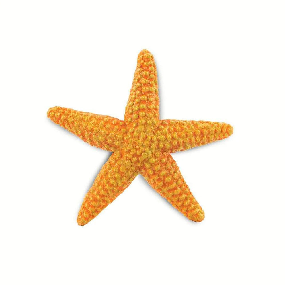 Safari LTD® | Zeedieren | Zeester