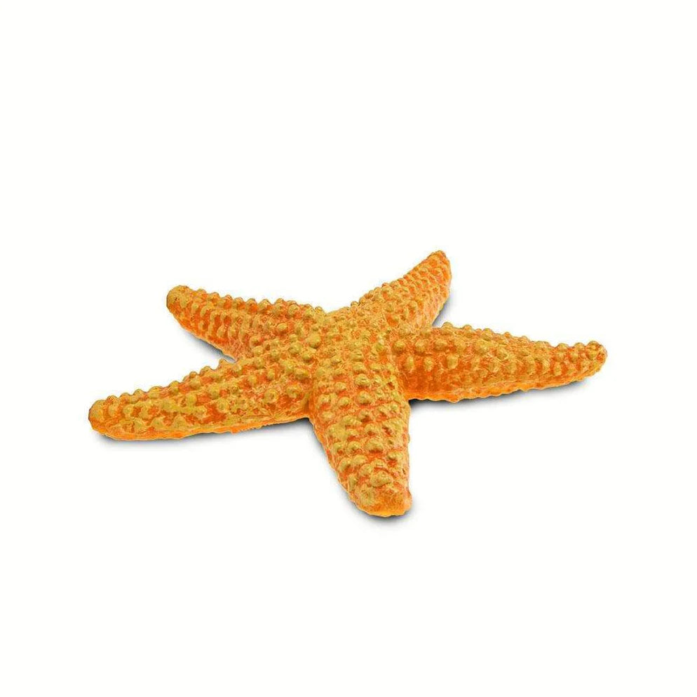 Safari LTD® | Zeedieren | Zeester