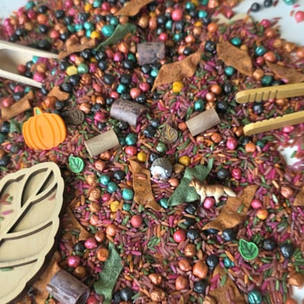 Sensoryfun | Pour & Play | Herfst