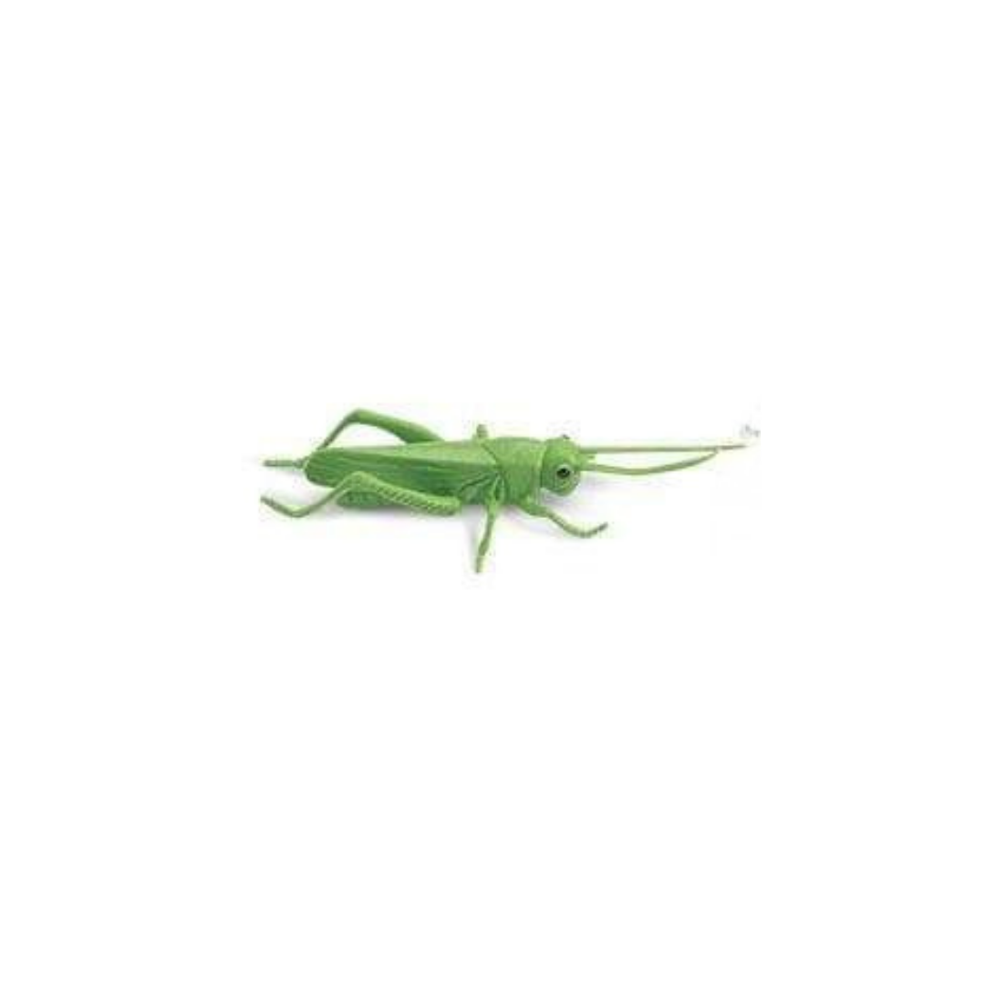 Losse insecten | Safari LTD