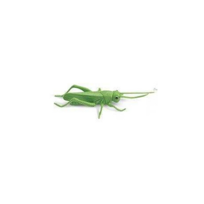 Losse insecten | Safari LTD
