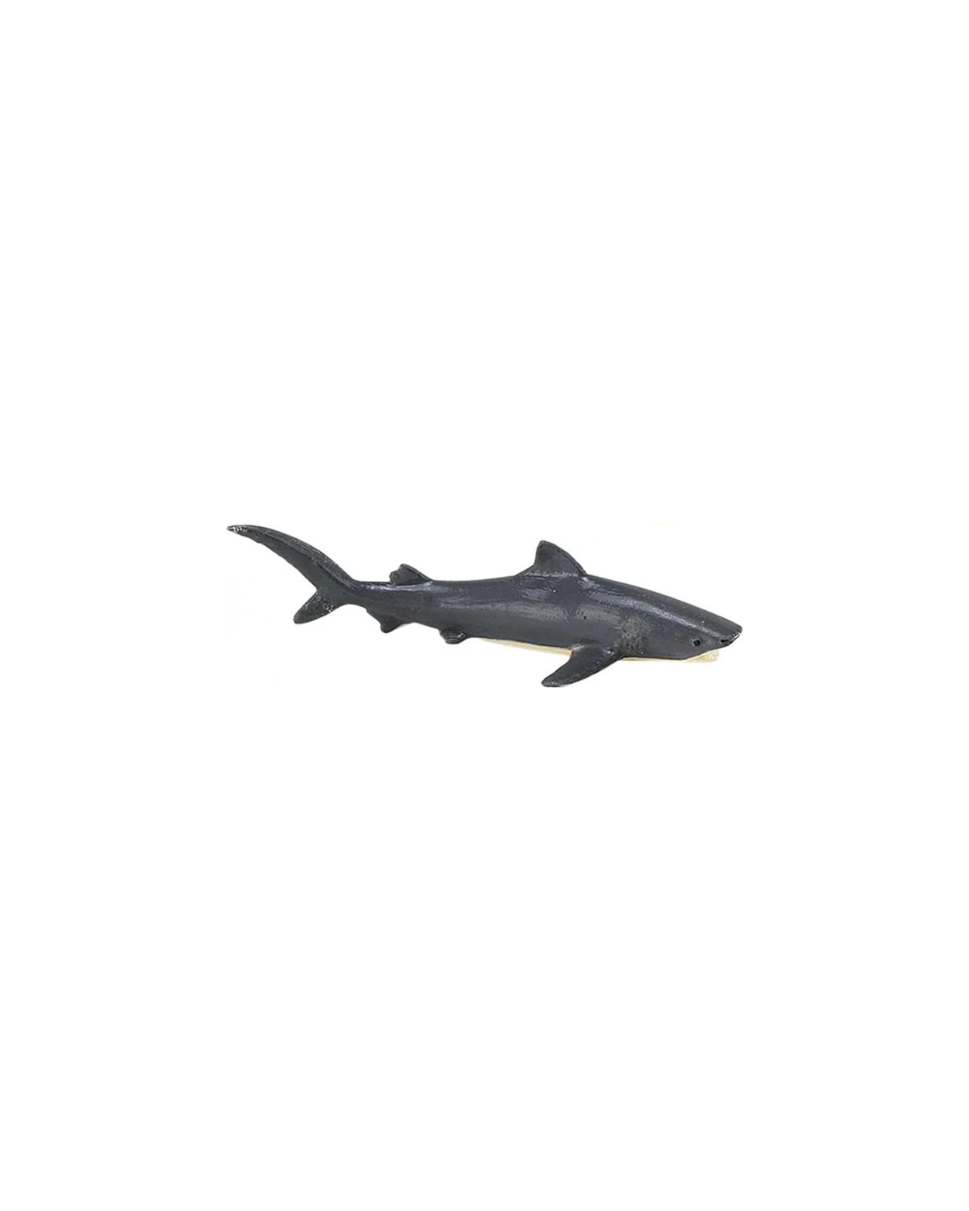 Losse zeedieren | Safari LTD