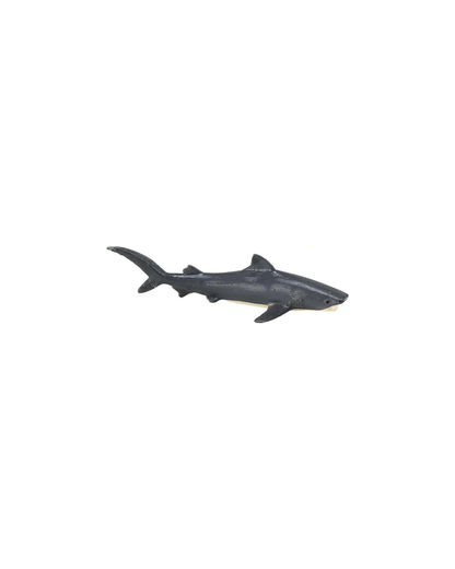 Losse zeedieren | Safari LTD